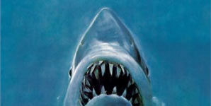 Jaws, Trailer