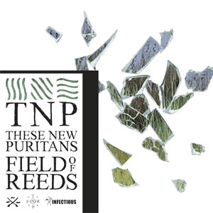 these-new-puritans-field-of-reeds.jpg