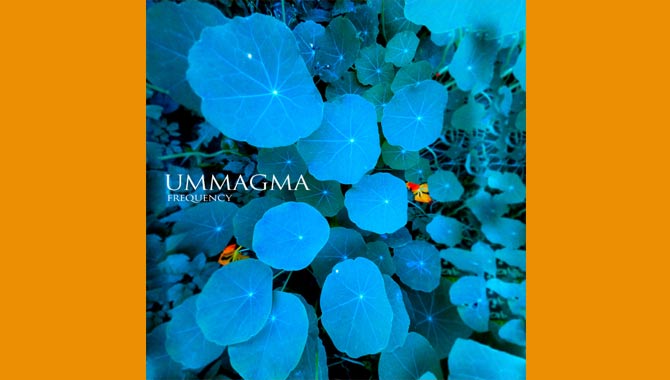 Ummagma Frequency Album