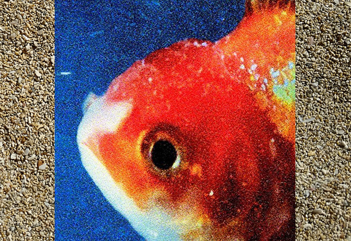 Vince Staples Big Fish Theory Album