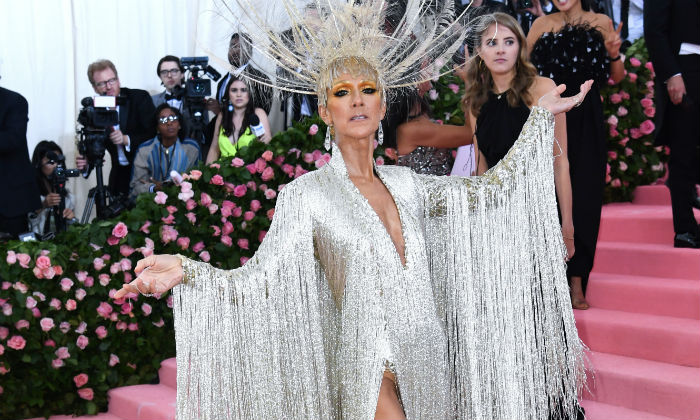 Celine Dion at the Met Gala 2019 / Photo Credit: Doug Petes/EMPICS Entertainment/PA Images