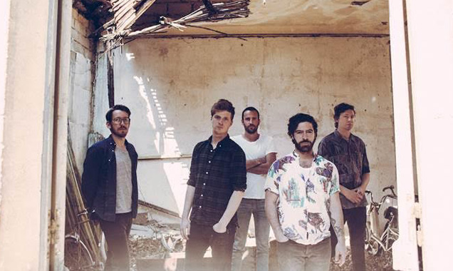 Foals