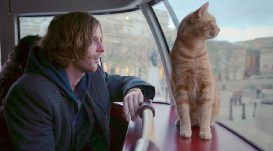 A Street Cat Named Bob - Trailer