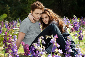 The Twilight Saga: Breaking Dawn Part 2 Movie Review