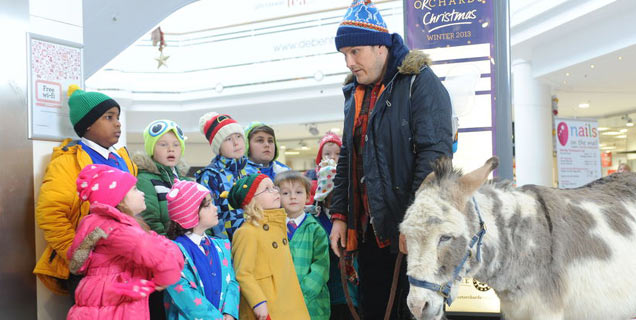 Nativity 3: Dude Where's My Donkey?! Movie Still