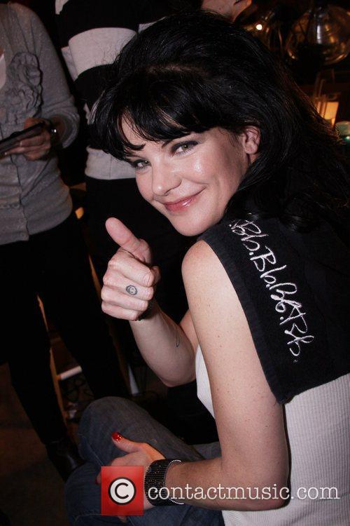 Pauley perrette tit