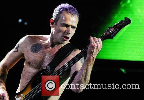 Red Hot Chili Peppers bassist Flea