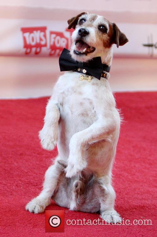 Uggie, Hollywood Parade