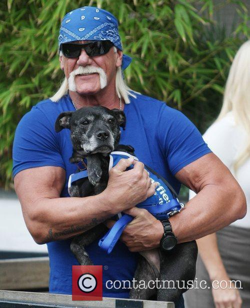 Hulk Hogan