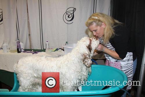 Owner kisses dog - Dog Spa at the Westminster Dog Show