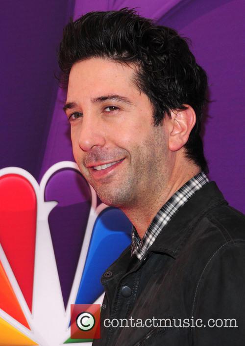 David Schwimmer Solving Crimes