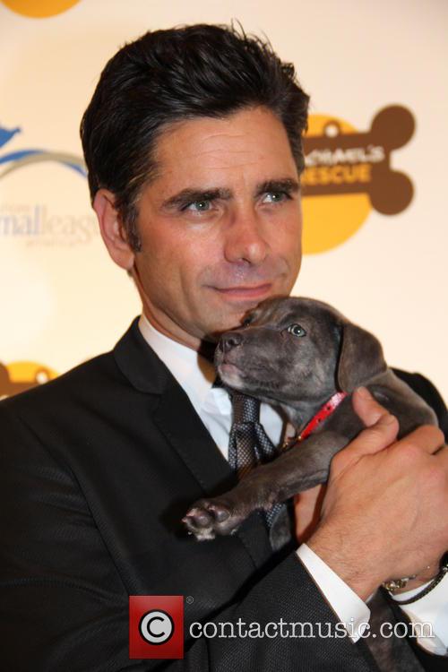 John Stamos