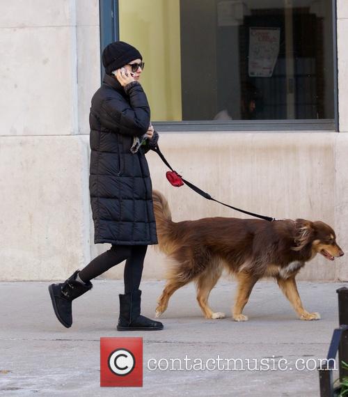 amanda seyfried finn dog