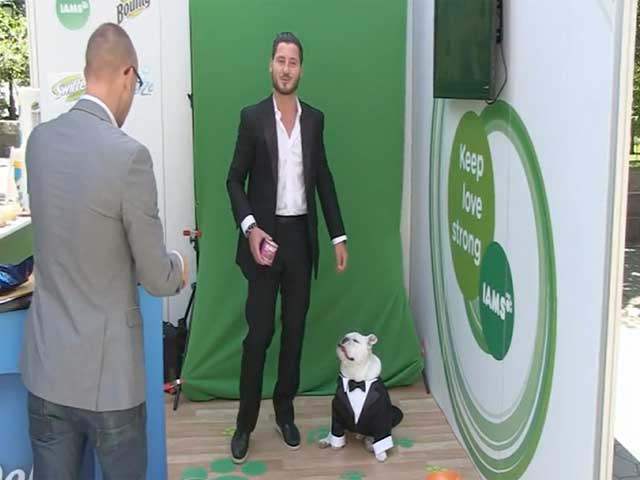 Val Chmerkovskiy And His Tuxedoed Pooch Arrive At P&G launch NY - Part 2