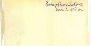 Babyshambles - Down In Albion Album Review