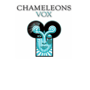 Chameleons Vox at the Nottingham Rescue Rooms. 6th December 2013 Live Review