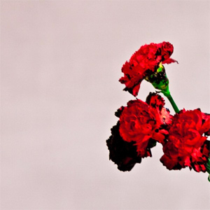 John Legend - All Of Me Single Review