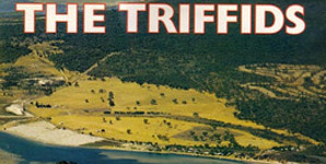 The Triffids - Wide Open Road, The Best Of... Album Review