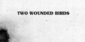 Two Wounded Birds - Two Wounded Birds Album Review