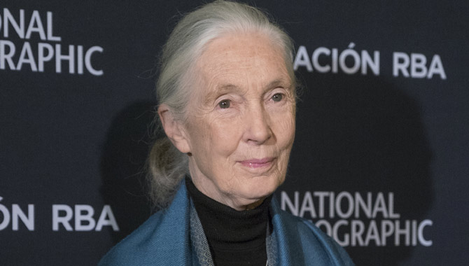 Dr Jane Goodall at a 2016 National Geographic conference