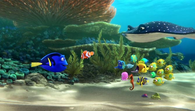 Finding Dory