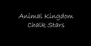 Animal Kingdom Chalk Stars Single