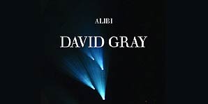 David Gray, Alibi, Video Stream