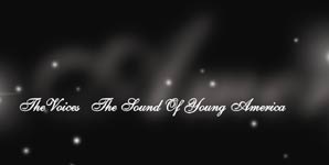 The Voices The Sound Of Young America Album