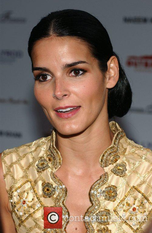 Angie Harmon 1