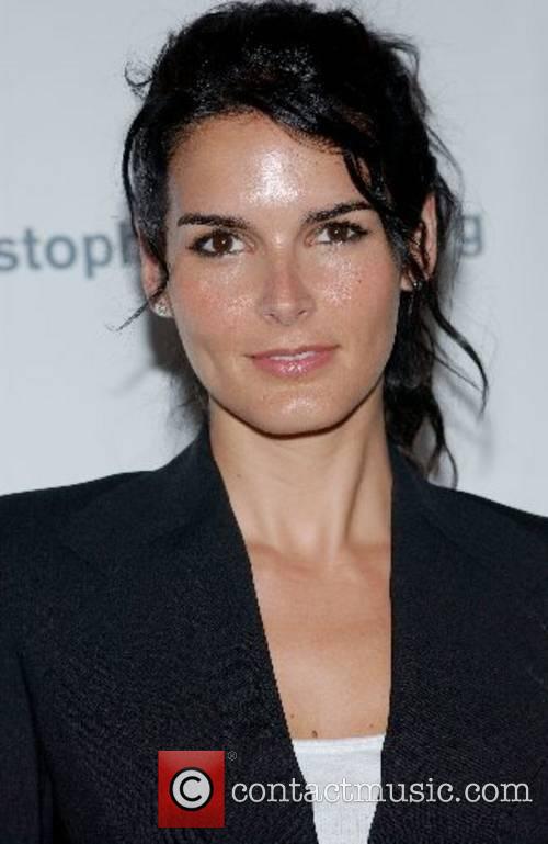 Angie Harmon 1