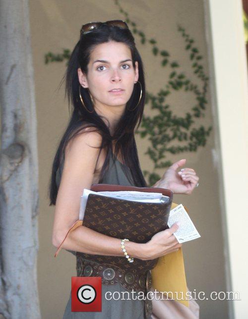 Angie Harmon 1