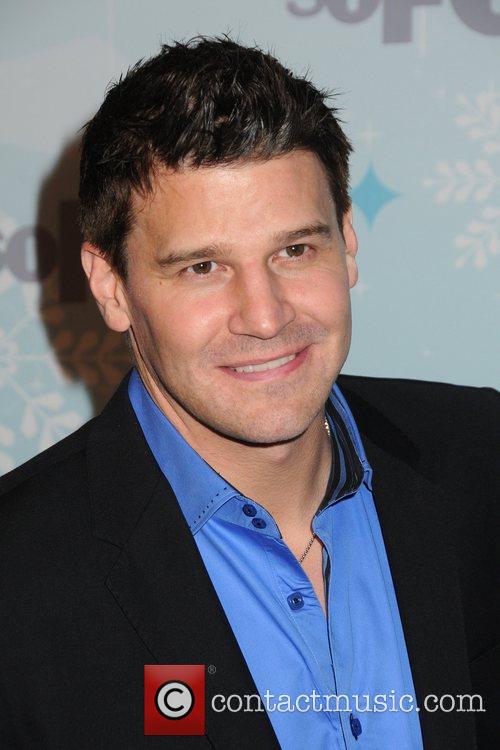 David Boreanaz 1