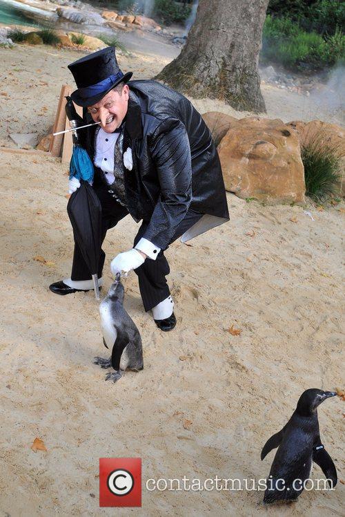 The Penguin. London Zoo