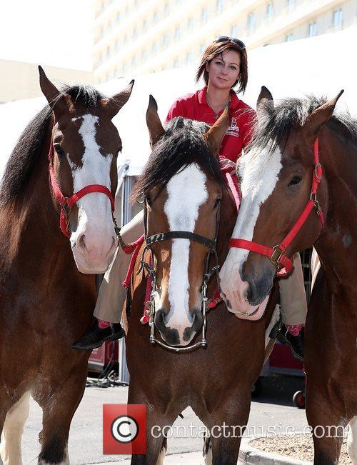 Kat Cockell, Budweiser Clydesdales Fire, Curly and Charley 1