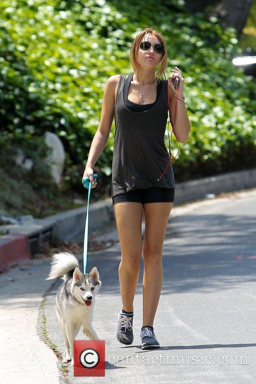 Miley Cyrus - Miley Cyrus takes her Siberian husky dog, Floyd, for a ...