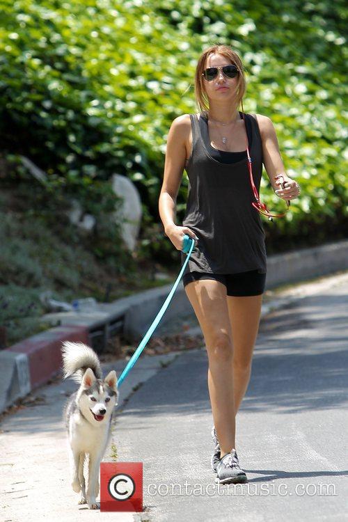Miley Cyrus - Miley Cyrus takes her Siberian husky dog, Floyd, for a ...