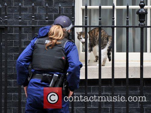 10 Downing Street