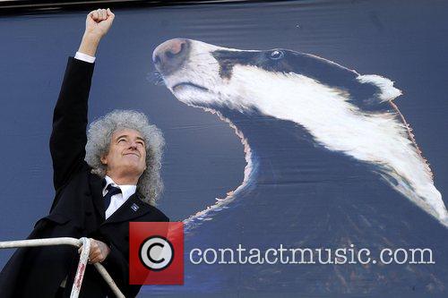 Brian May Badger Cull