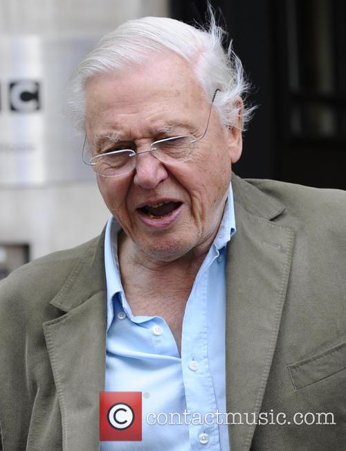 David Attenborough