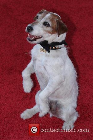 2012 Hollywood Christmas Parade Benefiting Marine Toys For Tots - Show  Featuring: Uggie
Where: Hollywood, California, United States When: 25...