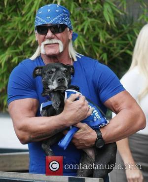 Hulk Hogan Sex Tape Debacle: Hogan Sues His Best Friend Over 'Invasion of Privacy'