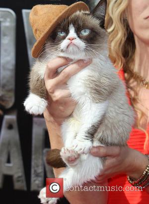 Grumpy Cat - 23rd Annual MTV Movie Awards at the Nokia Theatre - Arrivals - Los Angeles, California, United States...