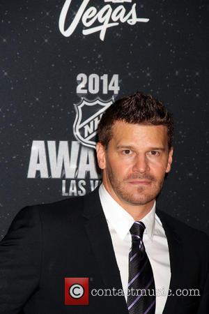 David Boreanaz - 2014 NHL Awards held at the Wynn Showroom inside Wynn Las Vegas - Red Carpet Arrivals -...