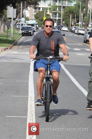 Arnold Schwarzenegger Revenge Thriller A Big Hit At Afm