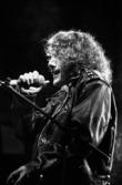 Roger Daltrey