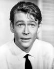 Peter O'toole And Venus Director Clashed