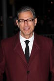 Jeff Goldblum Finds The Right Words About Jurassic Park