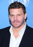 David Boreanaz Recovering From Health Scare