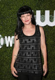 Pauley Perrette